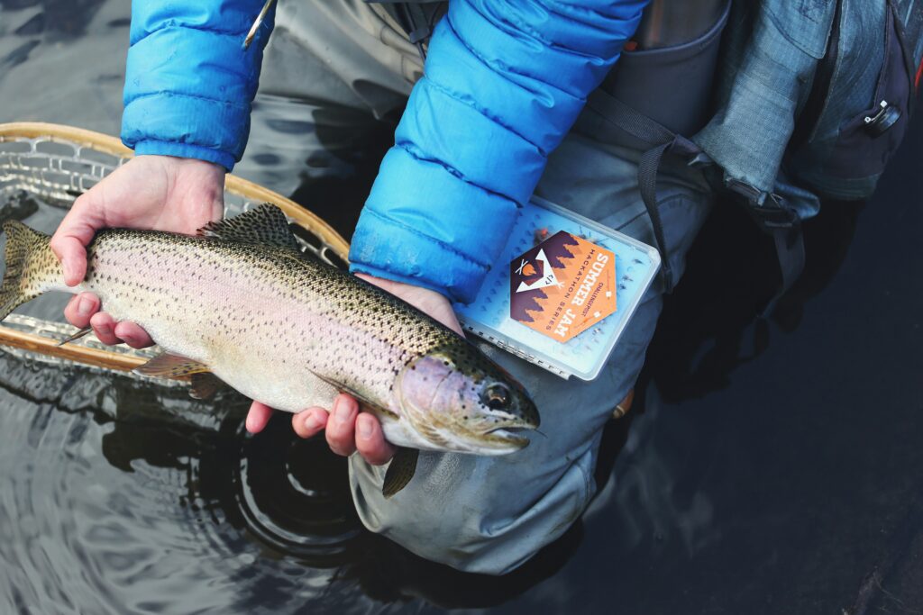 Trout With Egg Pattern